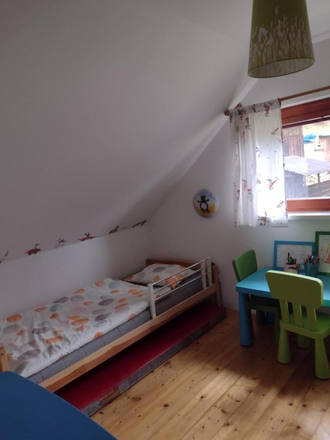 Chata Dvirka Zelezny Brod Экстерьер фото